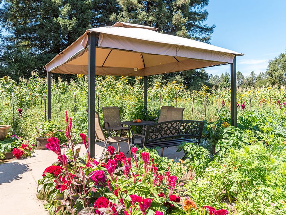 Healdsburg Senior Living 725 Grove Street Healdsburg CA 95448 Senior