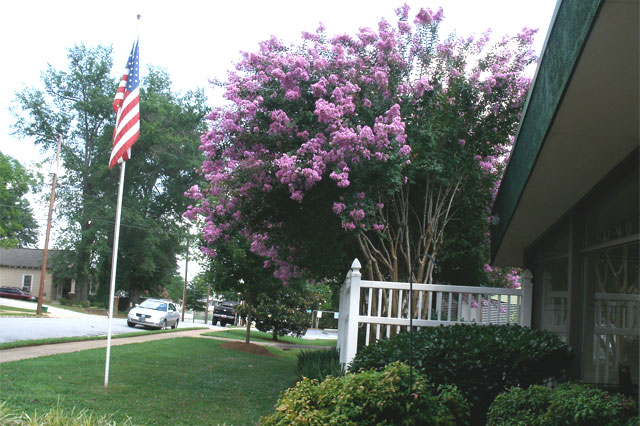 Magnolia Manor of Greenville 411 Ansel Street Greenville