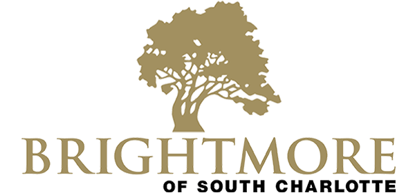 Brightmore of South Charlotte logo